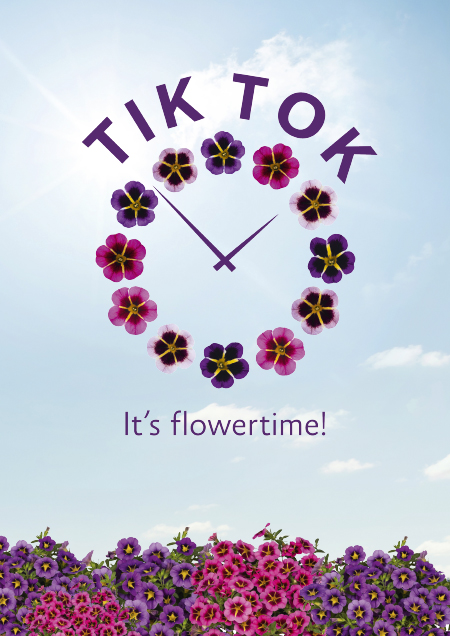 Tik Tok