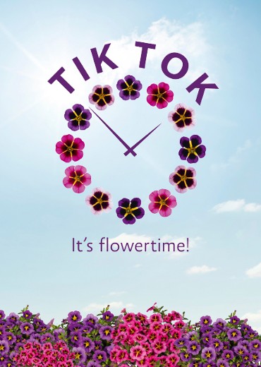 It´s flowertime!