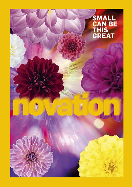 Novation