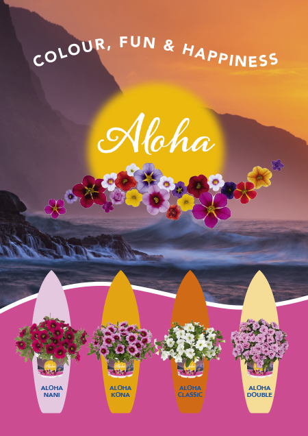 Aloha