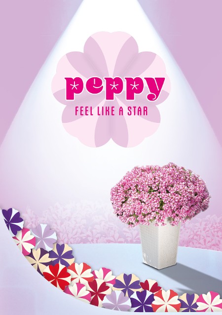 Peppy