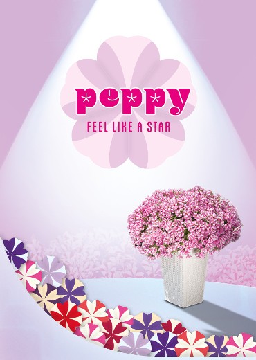 Be Peppy and feel like a star!