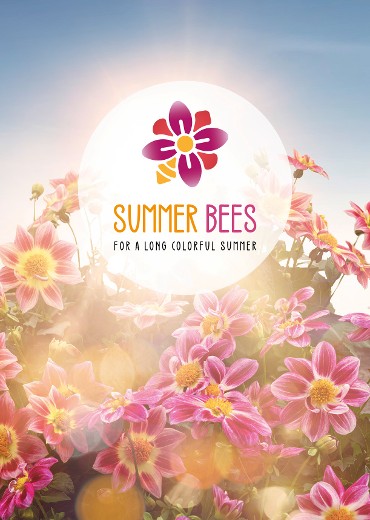 FOR A LONG COLORFUL SUMMER