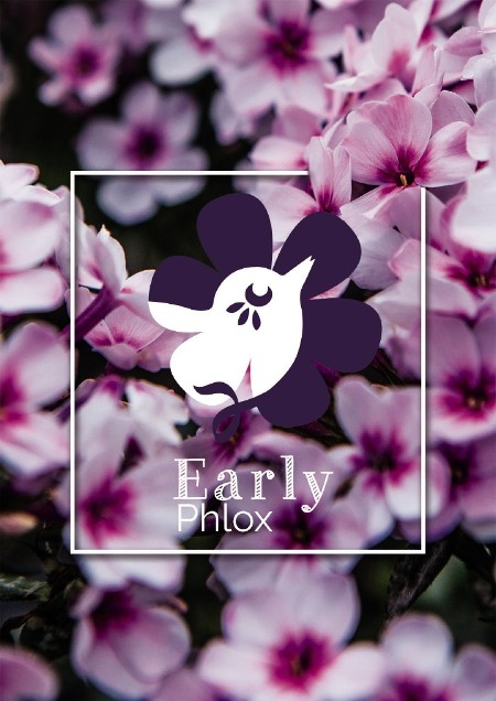 Early Phlox