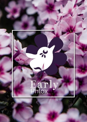 The early bird catches the worm!