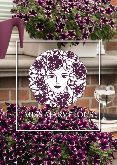 Miss Marvelous