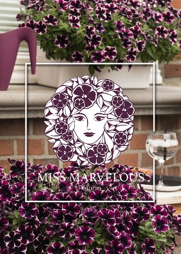 Too marvelous for words!