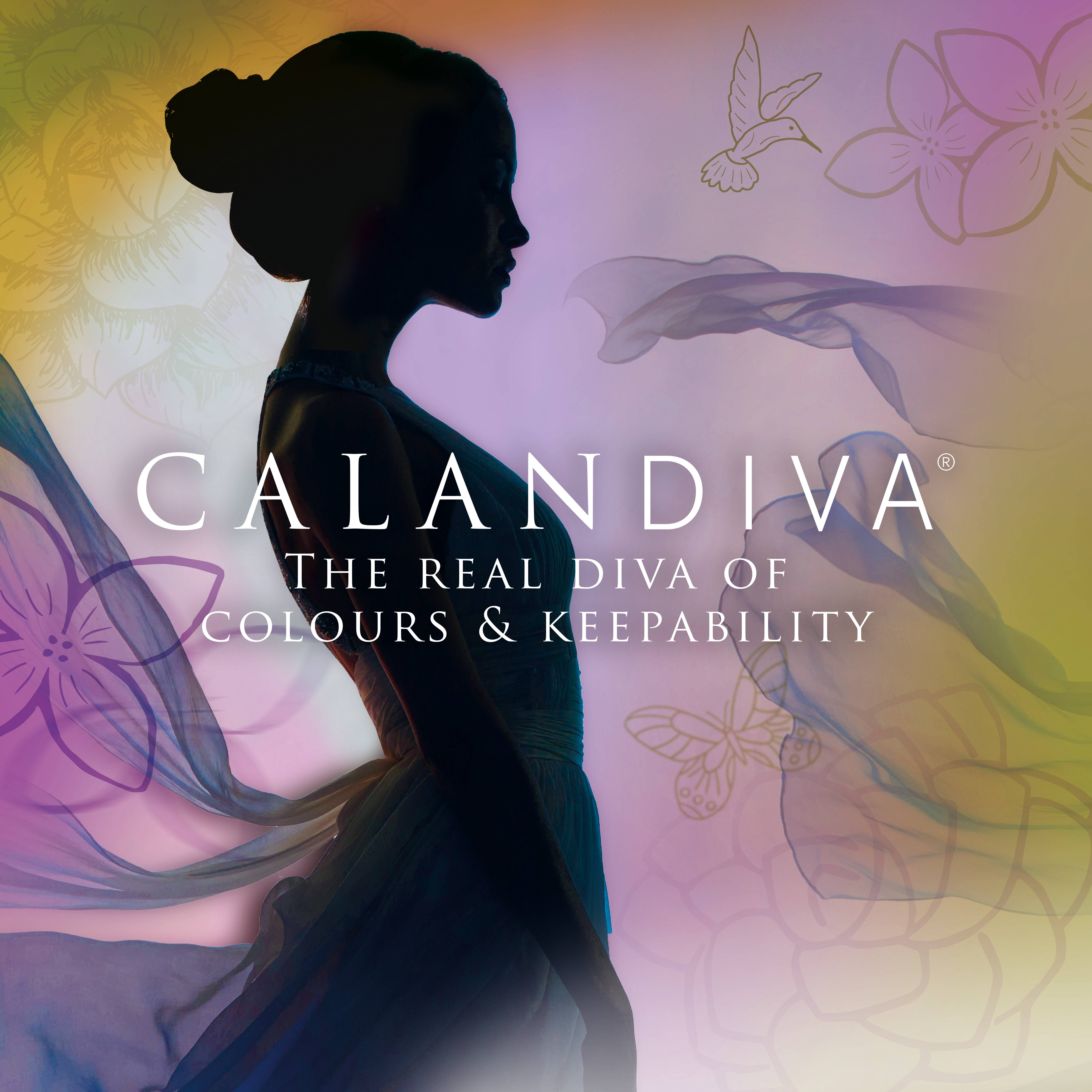 Calandiva®