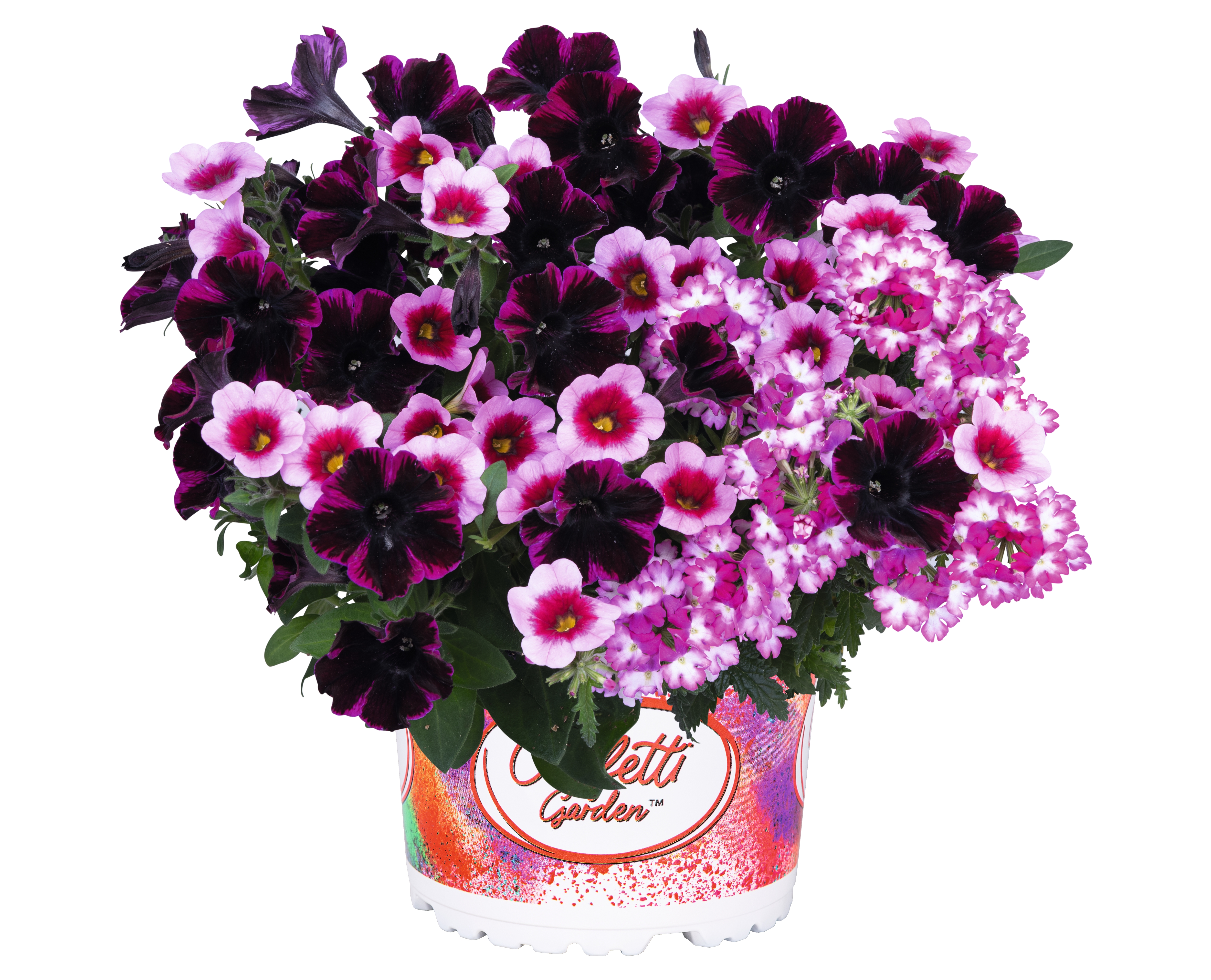 Confetti Garden® Mix