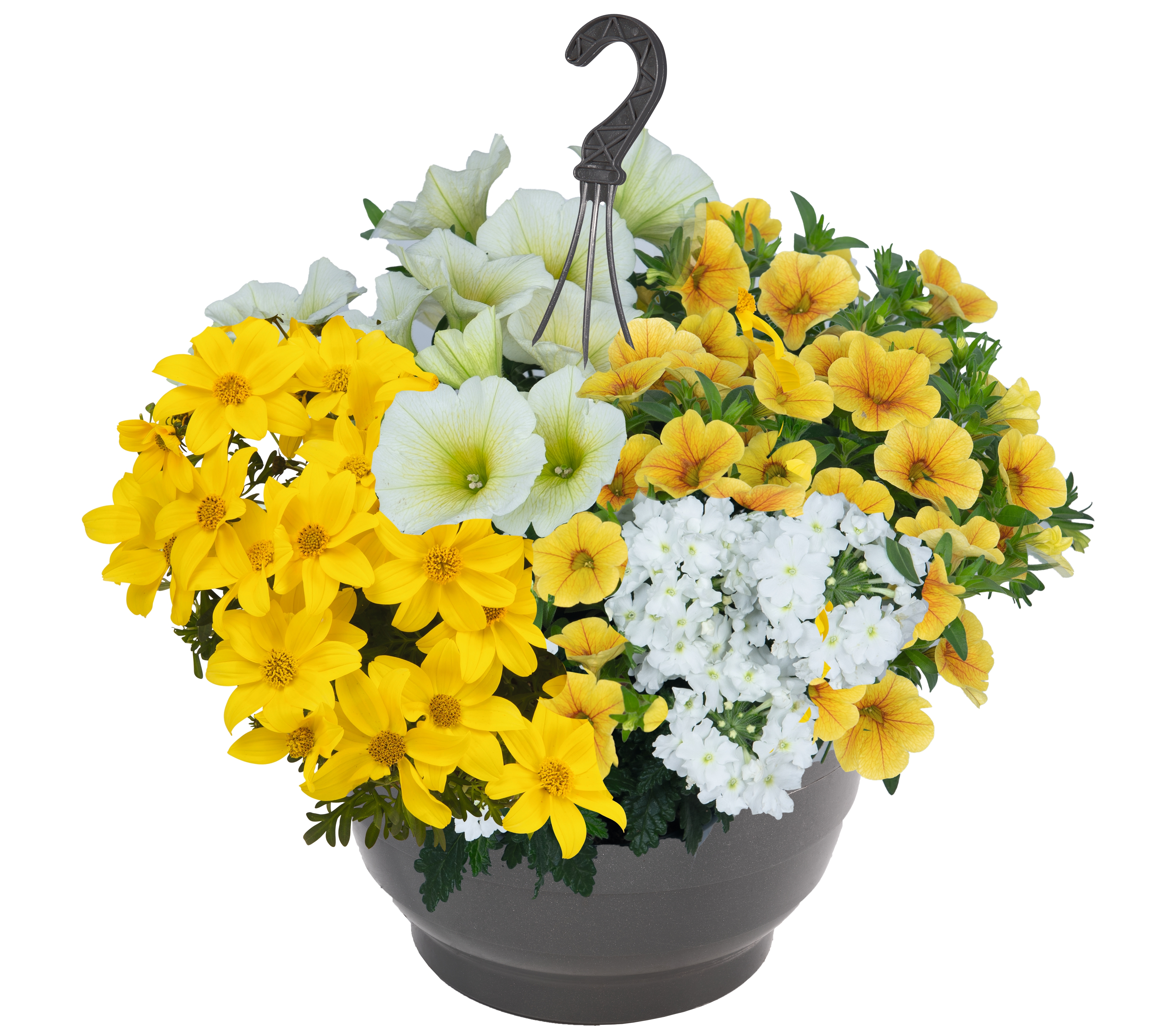 Confetti Garden® Party Baskets